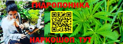 мяу мяу мука Кимры