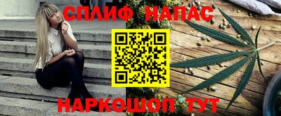 молекула духа Кингисепп