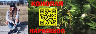 мяу мяу мука Кимры